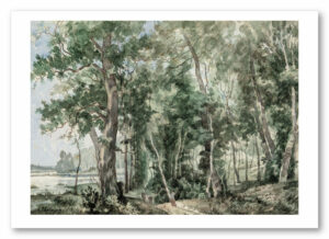 Sous-bois